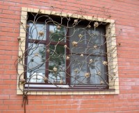 Кованая решетка для&nbsp;окна имитирует веточки кустарника или  &laquo;дикий&raquo; виноград, фото 2