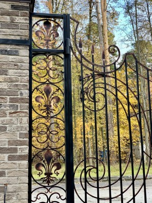 Распашные ворота, украшенные тосканской лилией, фото 4