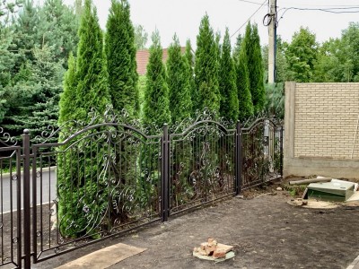 Забор для&nbsp;загородного дома в&nbsp;садоводческом товариществе Горки 2 на&nbsp;Рублёвском шоссе, фото 2